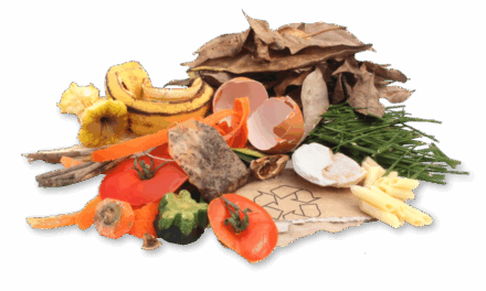 Revalorisez vos bio déchets